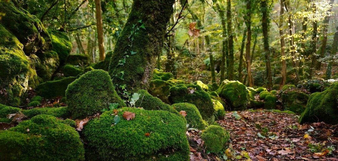 | #BELLEZZEDELLATUSCIA | La Riserva naturale di Monte Rufeno - ACQUAPENDENTE