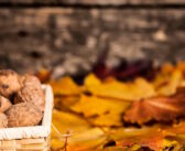 | WEEKEND | TUSCIA – Alcuni appuntamenti del fine settimana nei borghi viterbesi!